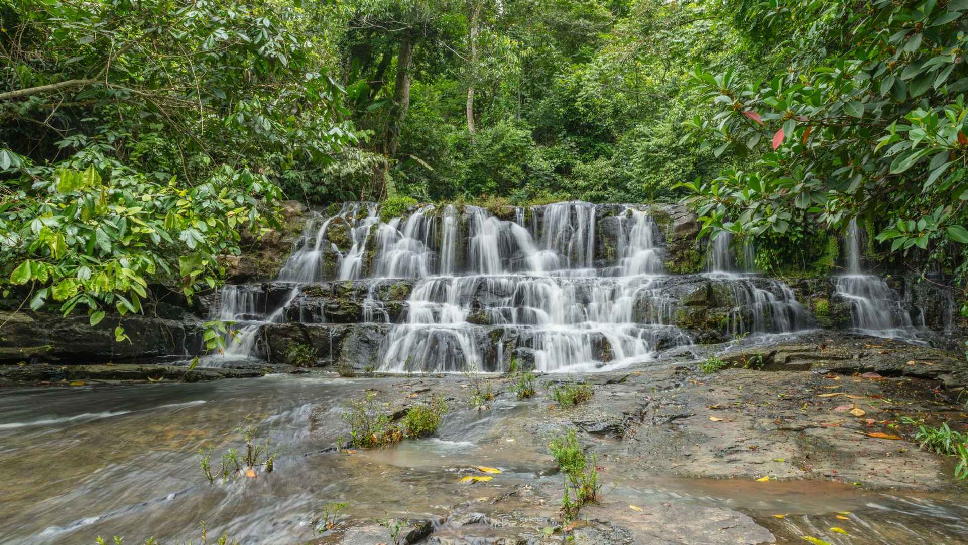 Materuni Waterfalls & Chagga Coffee Tour