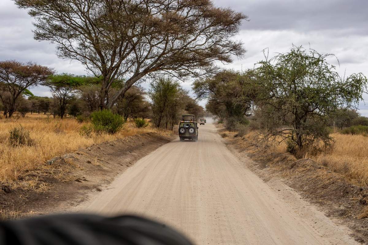Tanzania Travel 101: Visas, Currency, Drone Laws & Single-Use Plastic Ban