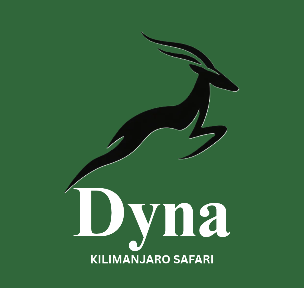 Dyna Kilimanjaro Safari